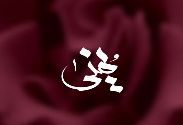 download arabic fonts install